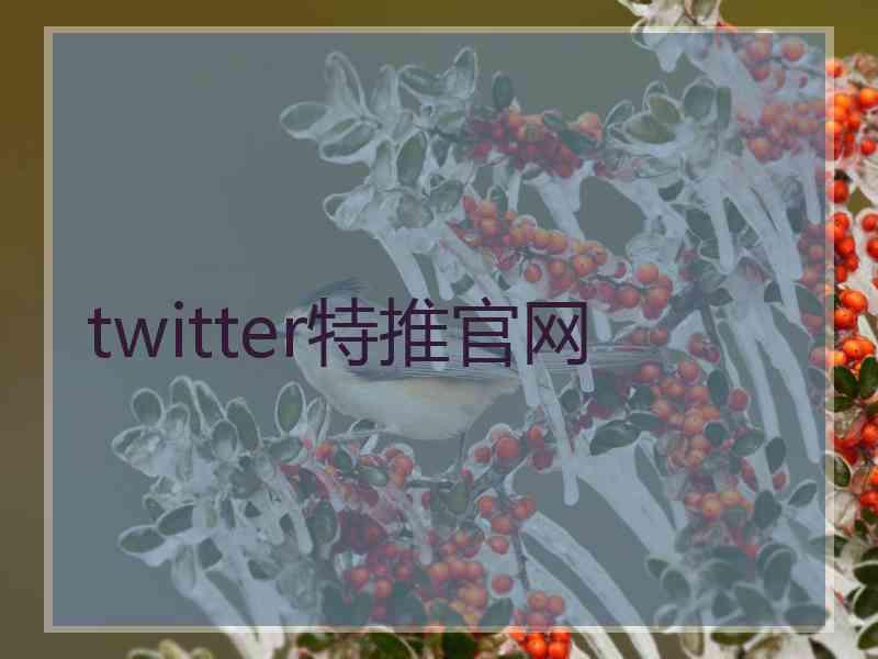 twitter特推官网