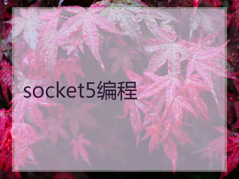 socket5编程