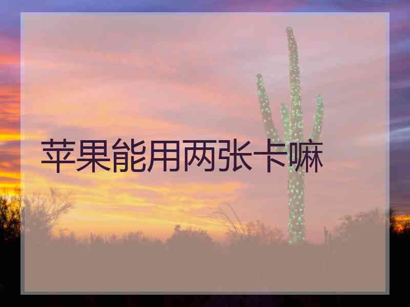 苹果能用两张卡嘛