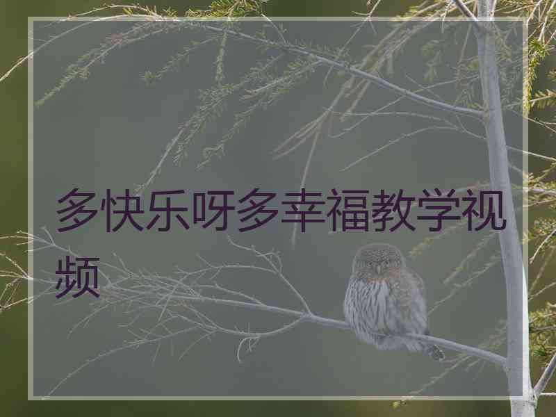 多快乐呀多幸福教学视频