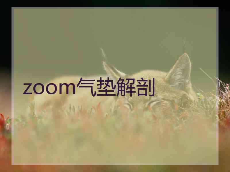 zoom气垫解剖