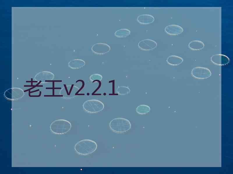 老王v2.2.1