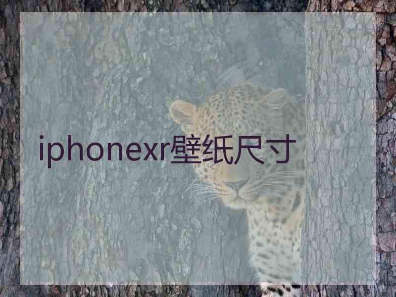 iphonexr壁纸尺寸