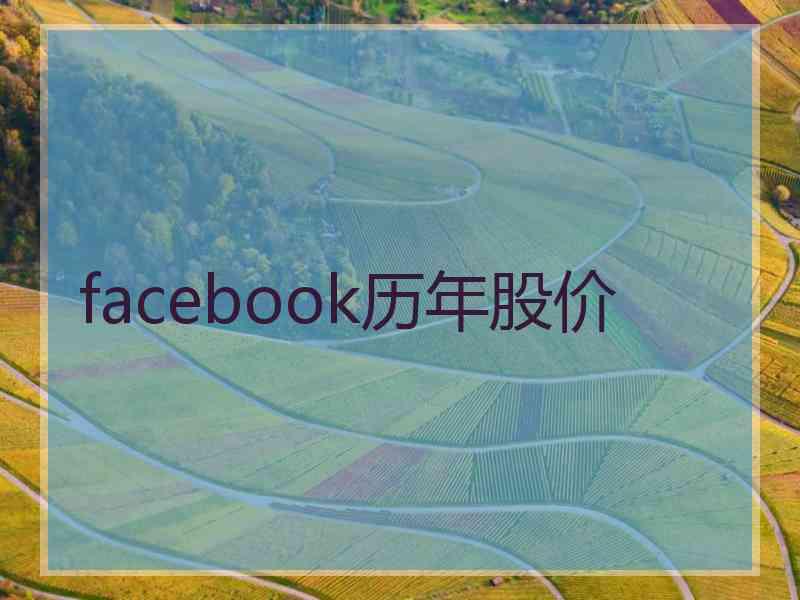 facebook历年股价