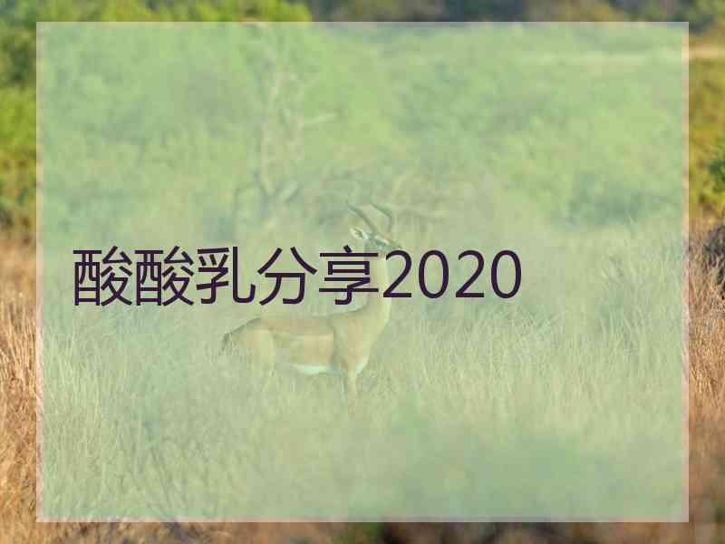 酸酸乳分享2020