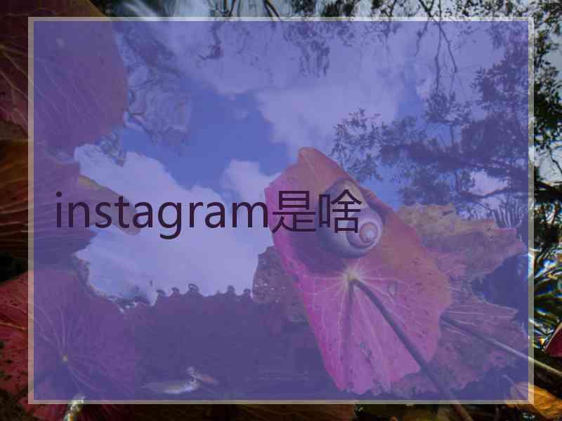 instagram是啥