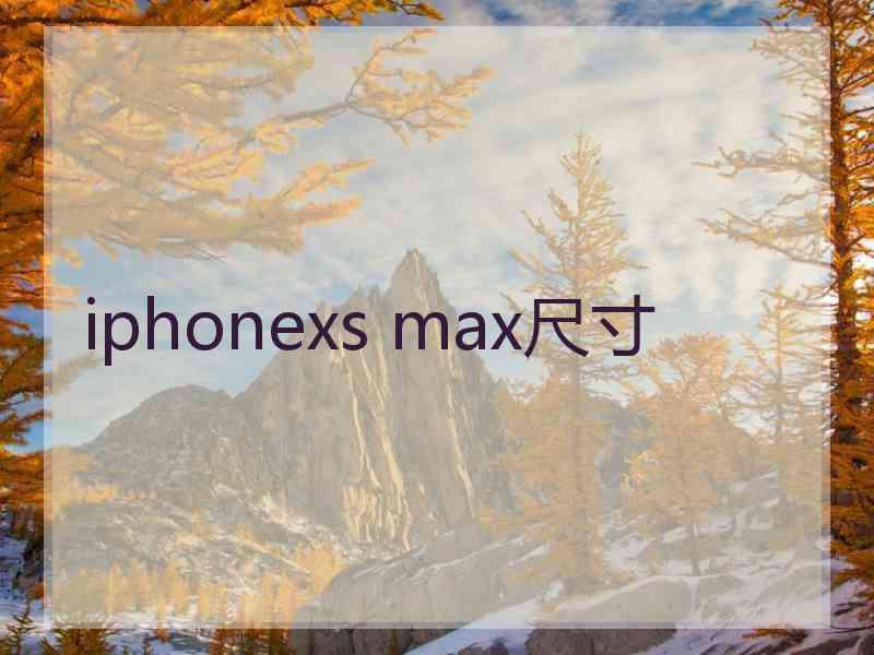 iphonexs max尺寸