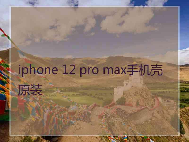 iphone 12 pro max手机壳原装