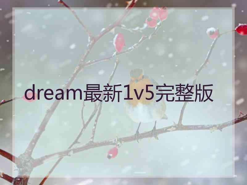 dream最新1v5完整版