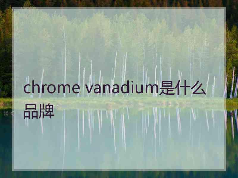 chrome vanadium是什么品牌