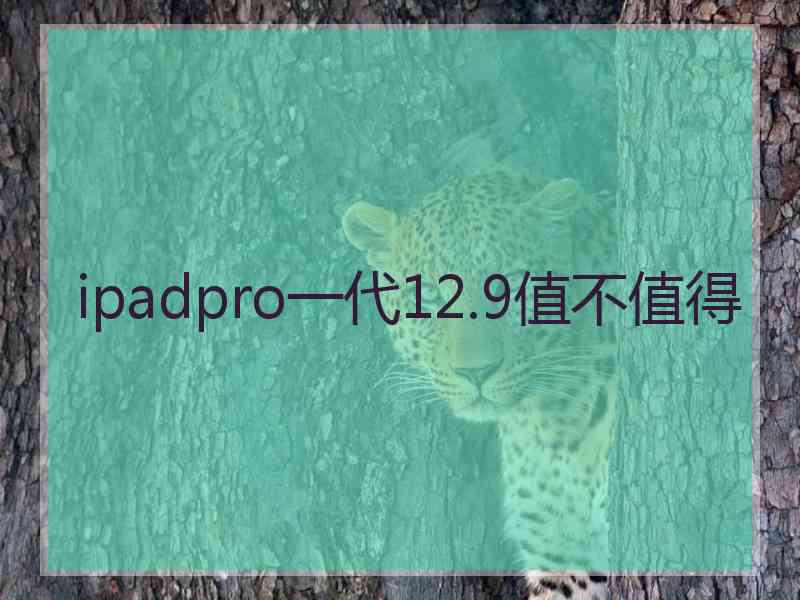 ipadpro一代12.9值不值得