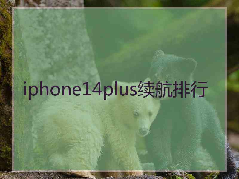 iphone14plus续航排行