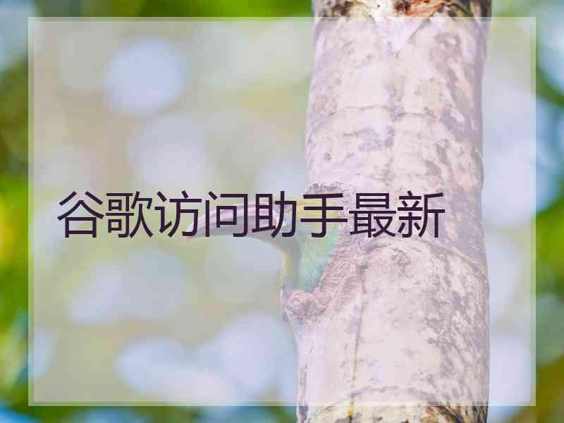 谷歌访问助手最新