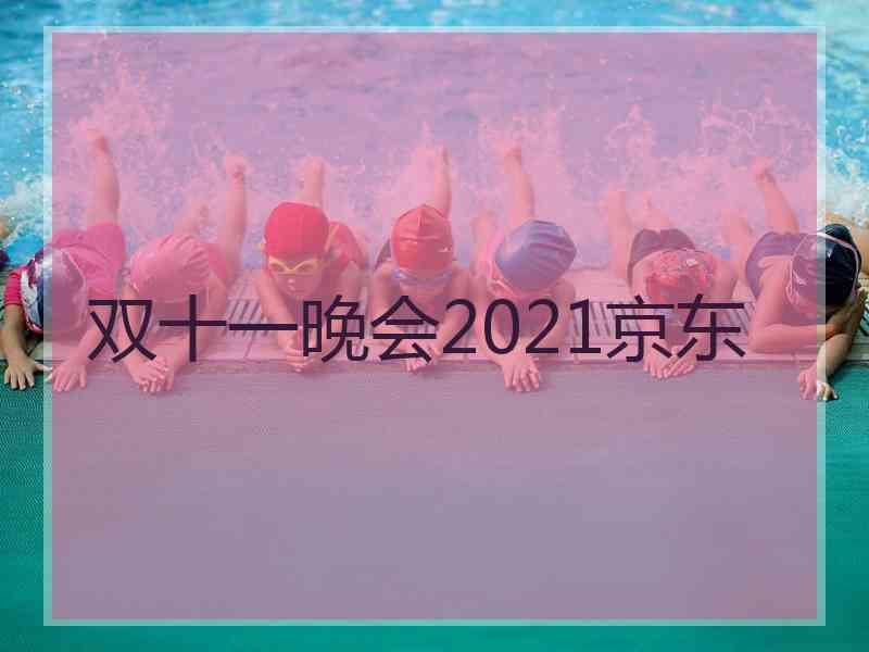 双十一晚会2021京东