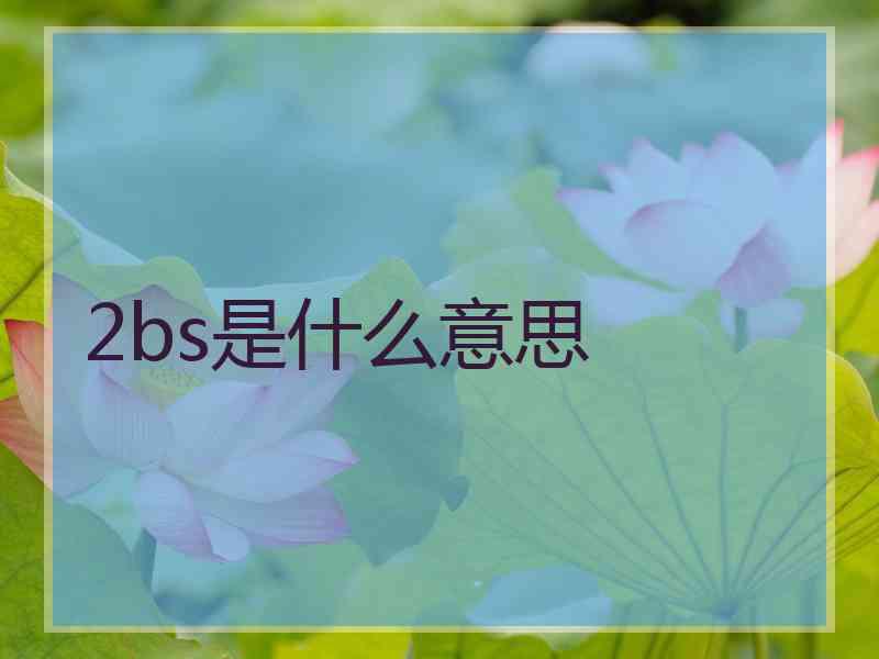 2bs是什么意思