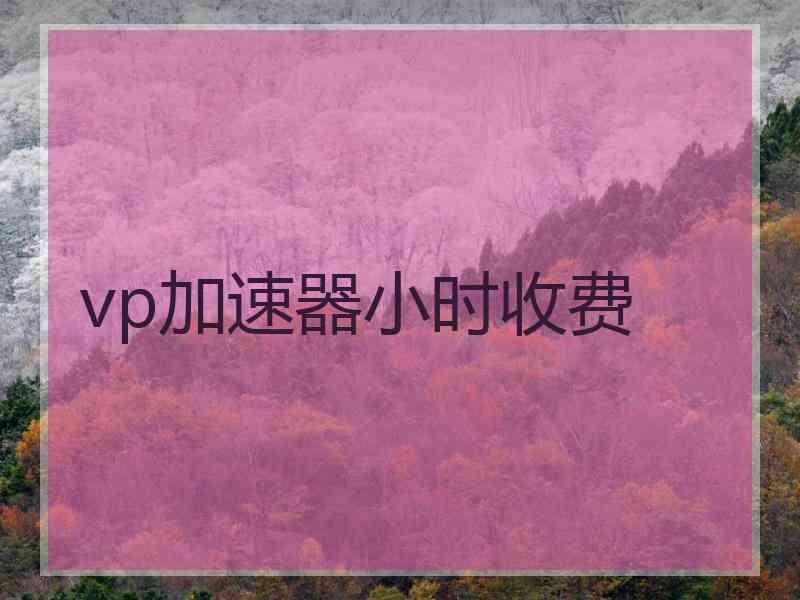 vp加速器小时收费