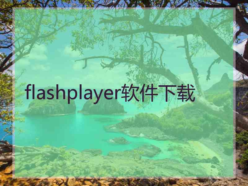 flashplayer软件下载