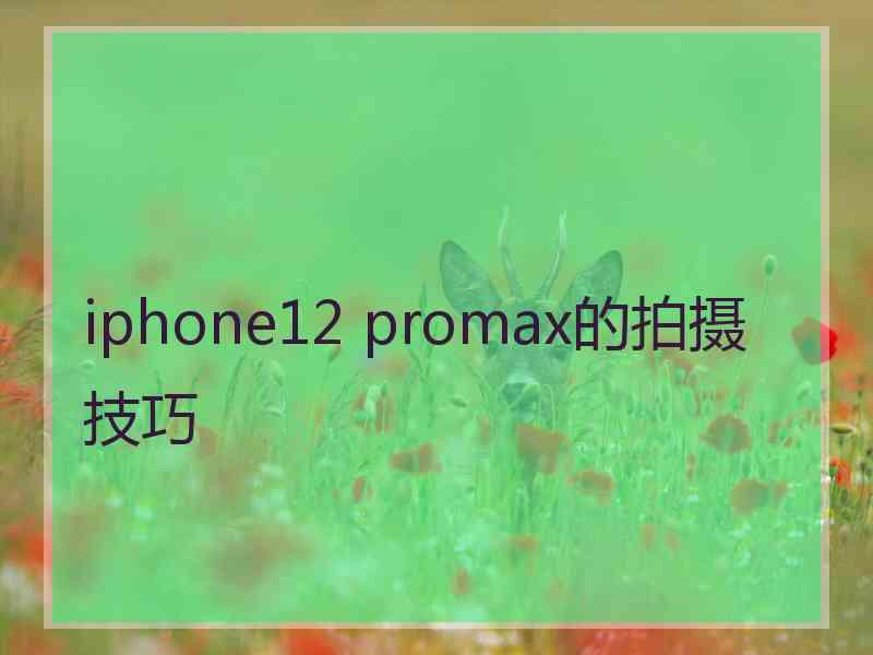 iphone12 promax的拍摄技巧