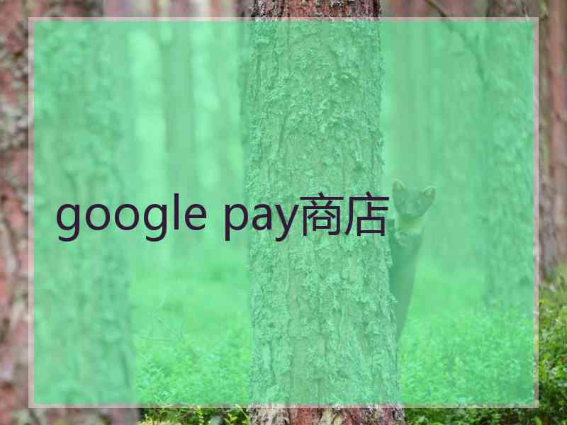 google pay商店