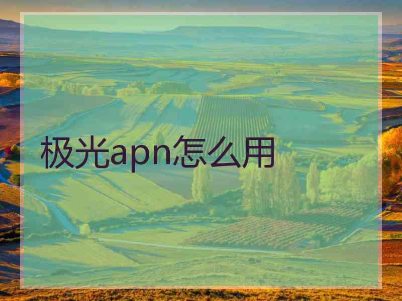 极光apn怎么用