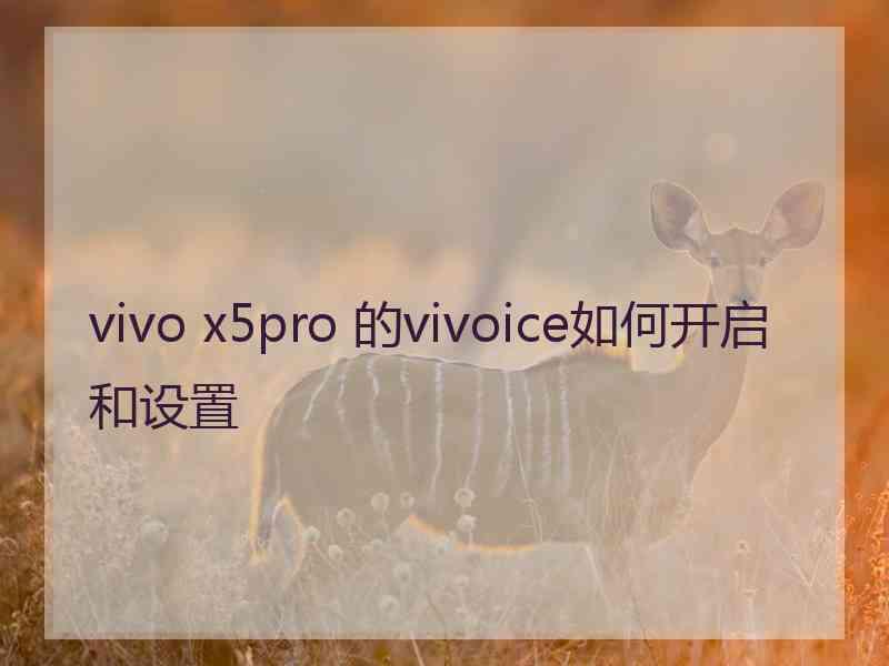 vivo x5pro 的vivoice如何开启和设置