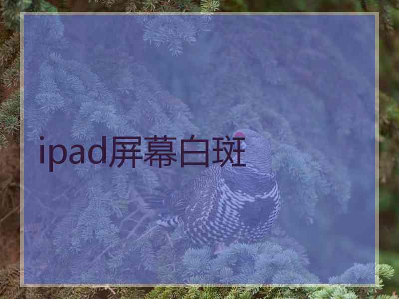 ipad屏幕白斑