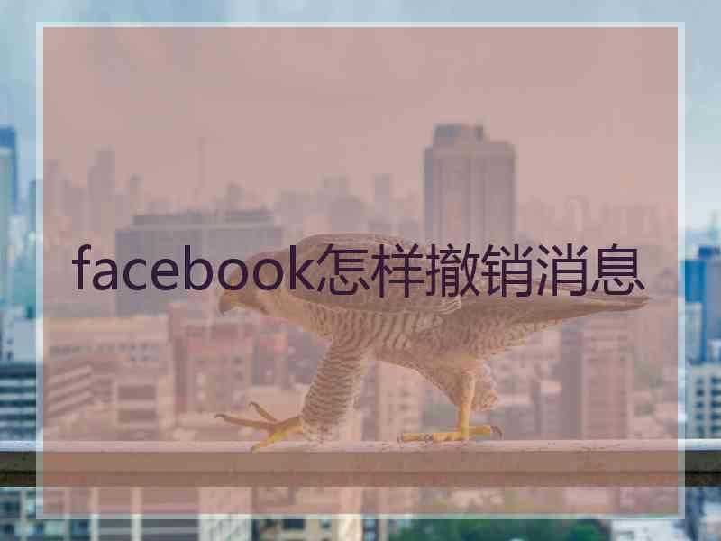 facebook怎样撤销消息