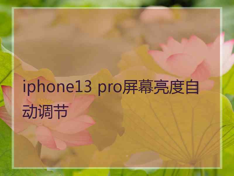 iphone13 pro屏幕亮度自动调节