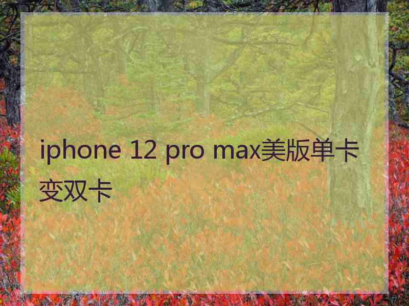 iphone 12 pro max美版单卡变双卡