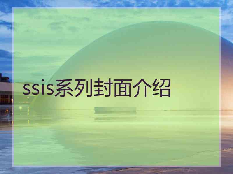 ssis系列封面介绍