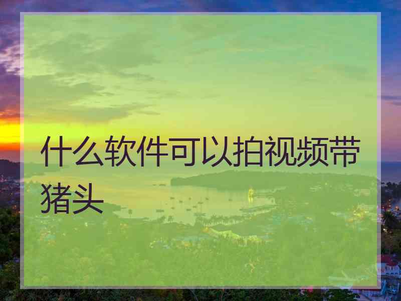 什么软件可以拍视频带猪头