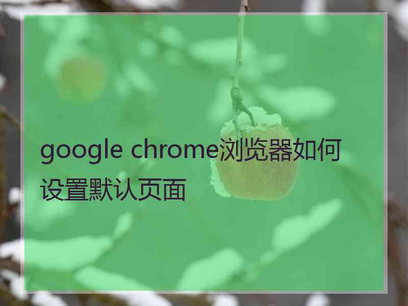 google chrome浏览器如何设置默认页面