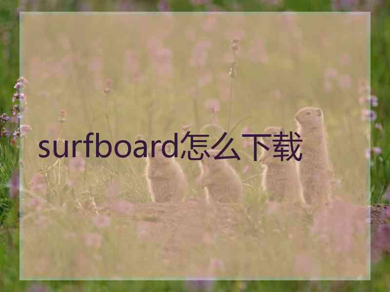 surfboard怎么下载