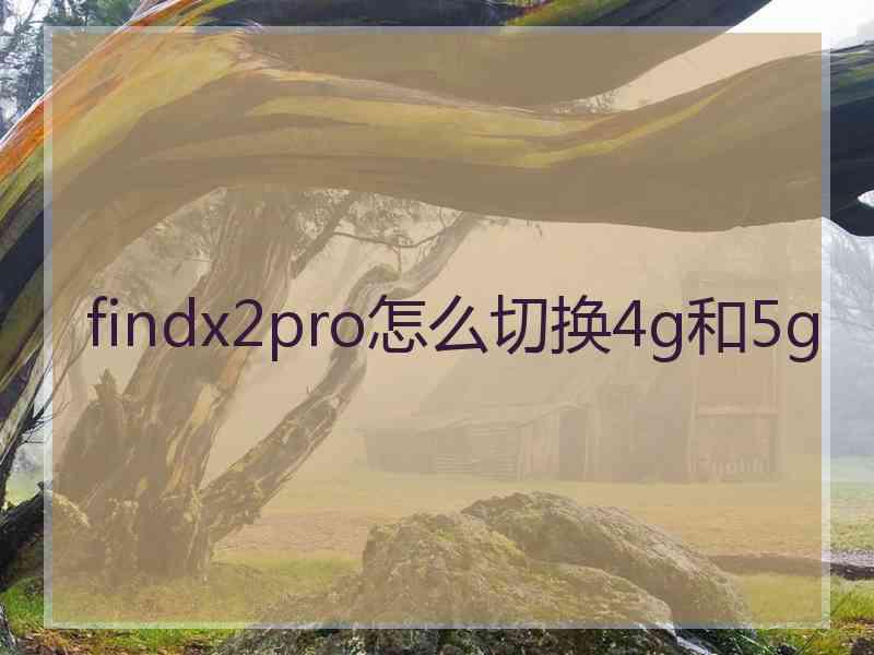 findx2pro怎么切换4g和5g