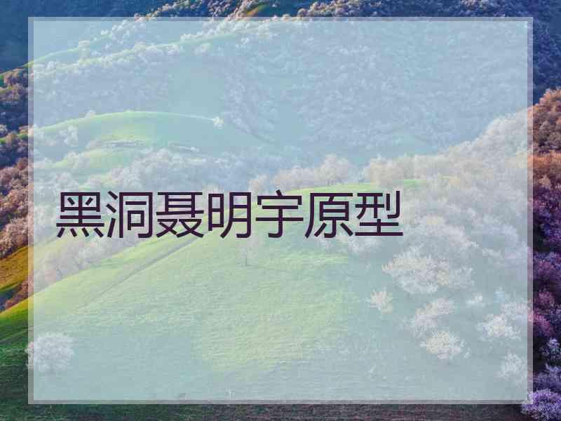 黑洞聂明宇原型