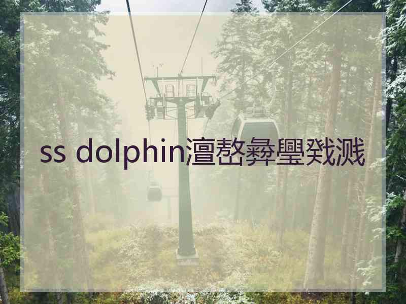 ss dolphin澶嶅彜璺戣溅