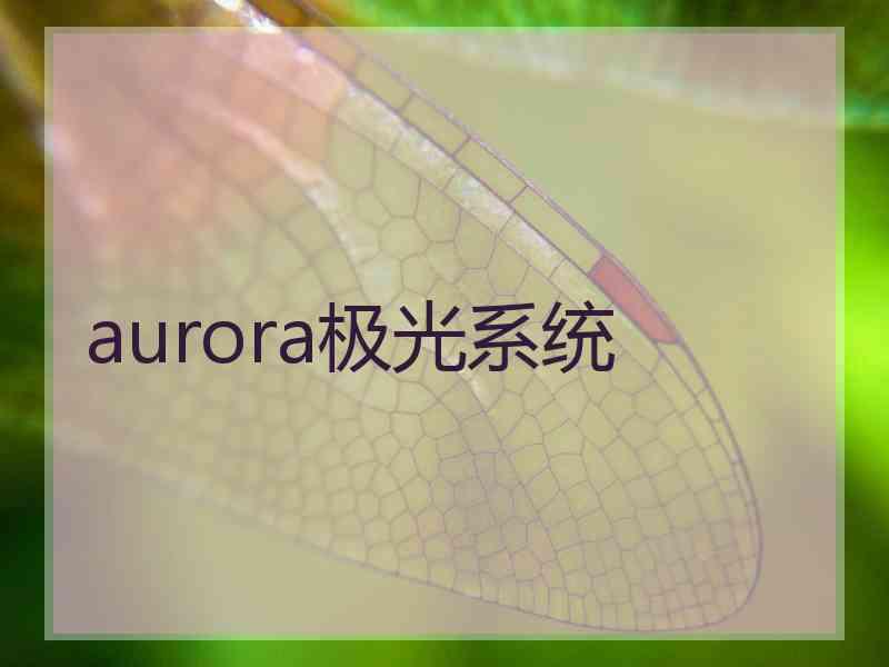 aurora极光系统