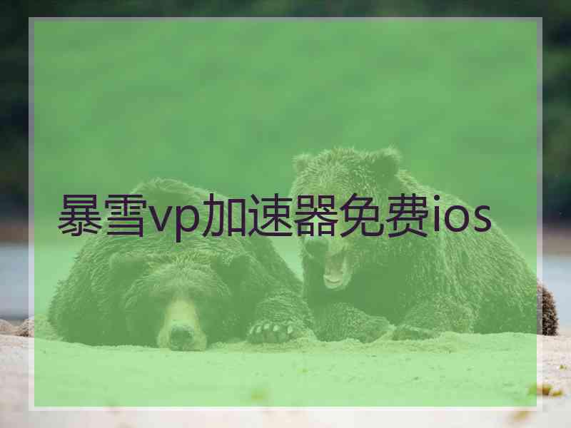 暴雪vp加速器免费ios