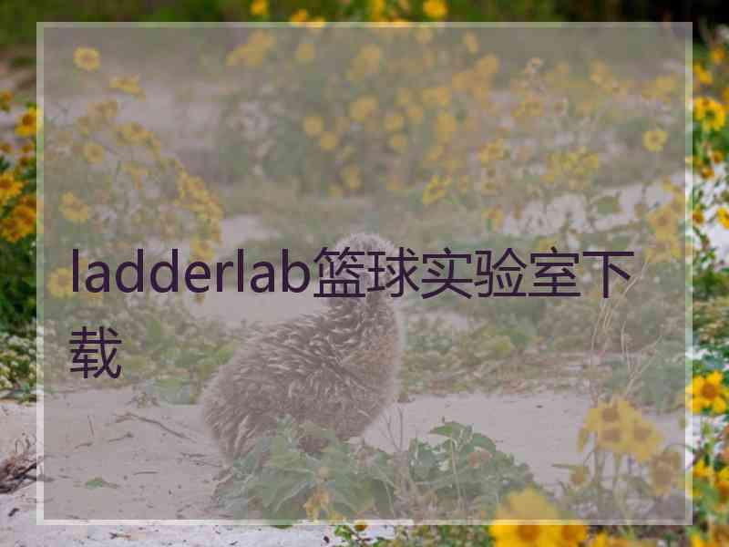 ladderlab篮球实验室下载