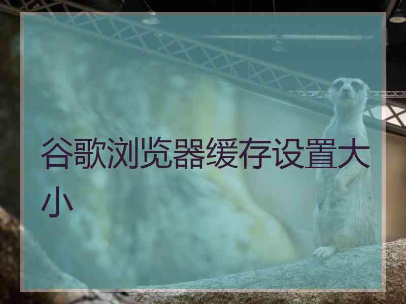 谷歌浏览器缓存设置大小