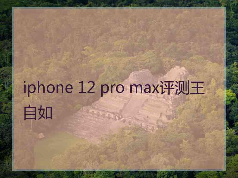 iphone 12 pro max评测王自如