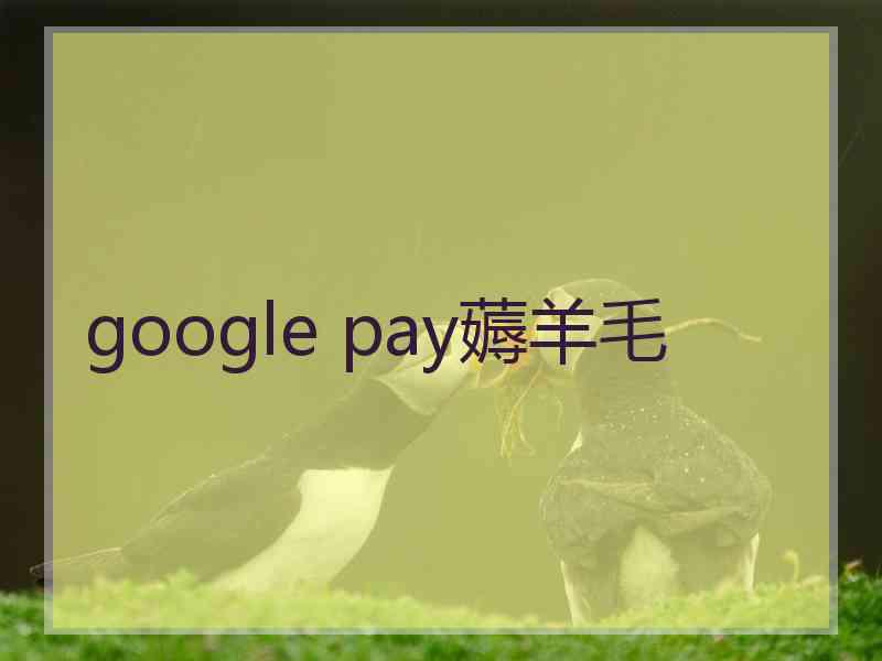 google pay薅羊毛