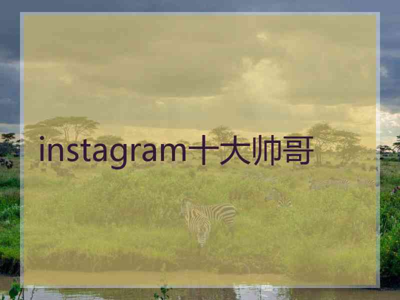 instagram十大帅哥