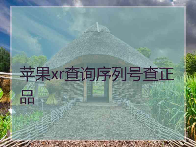 苹果xr查询序列号查正品