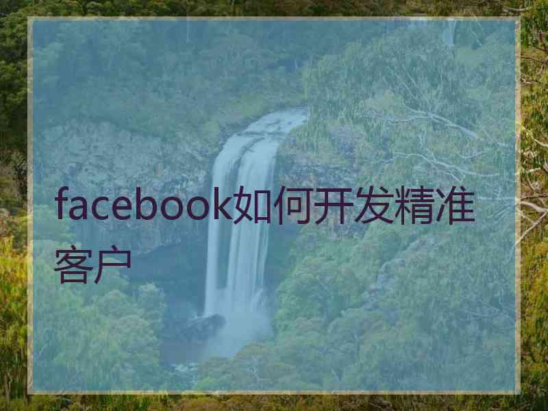 facebook如何开发精准客户