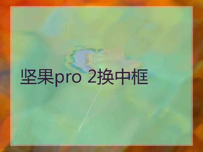 坚果pro 2换中框