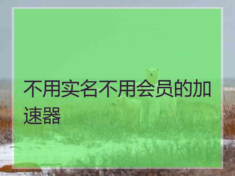 不用实名不用会员的加速器