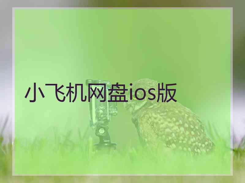 小飞机网盘ios版