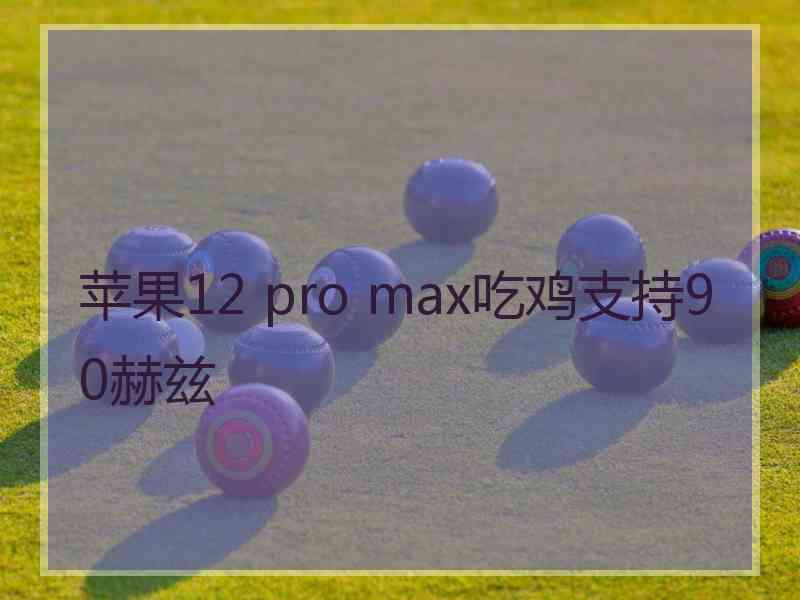 苹果12 pro max吃鸡支持90赫兹