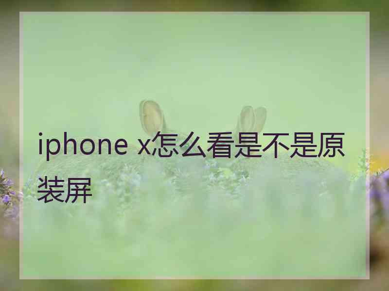 iphone x怎么看是不是原装屏